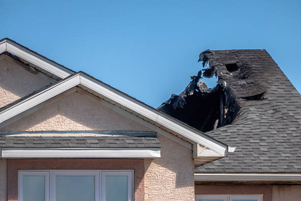 Top rated local Fire Damage Removal specialists in Cedar, MN